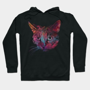 cat #cat #cats animal art Hoodie